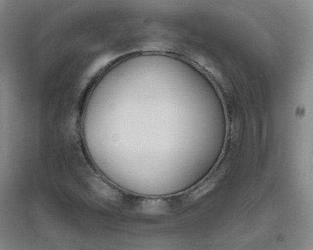 X0000094791454200711161422