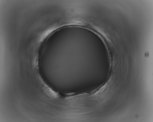 X0000094791455200711161422