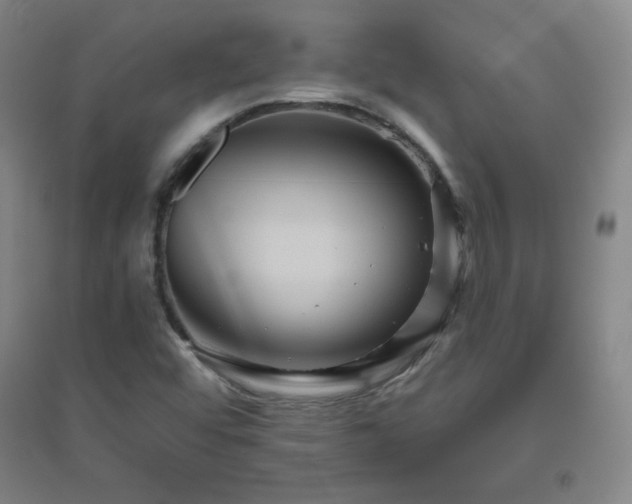 X0000094791456200711161422