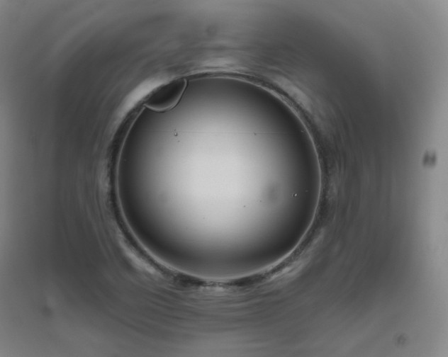 X0000094791458200711161422