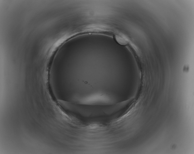 X0000094791459200711161422