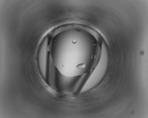 X0000094791460200711161422