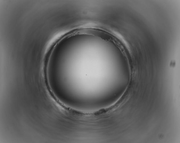 X0000094791464200711161422