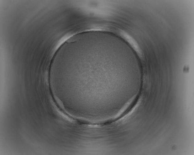 X0000094791465200711161422