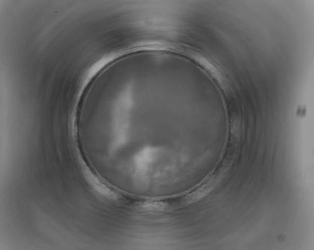 X0000094791466200711161422