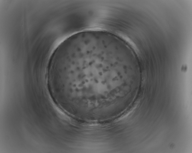 X0000094791467200711161422