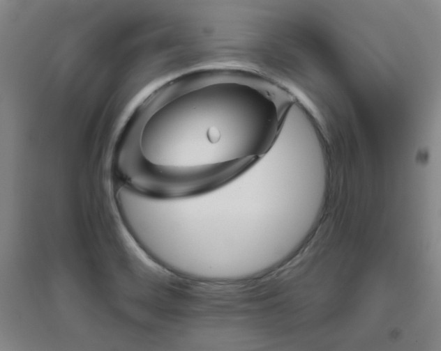 X0000094791468200711161422