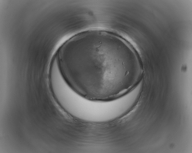 X0000094791469200711161422