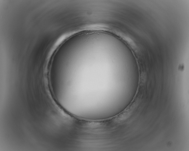 X0000094791470200711161422