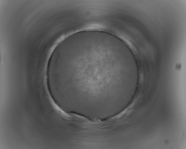 X0000094791471200711161422