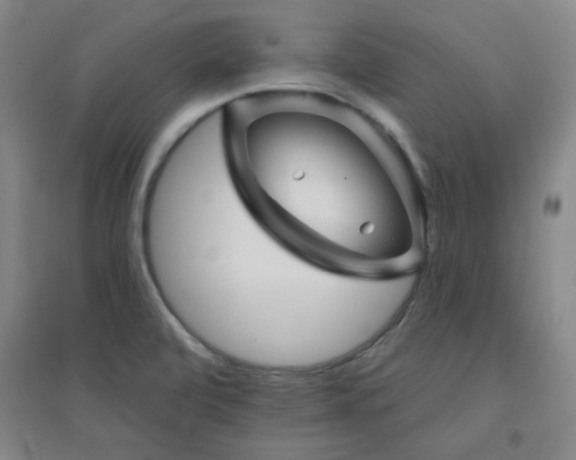 X0000094791472200711161422
