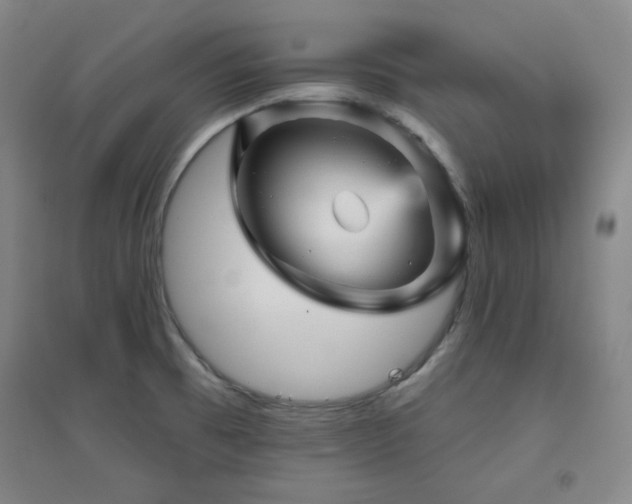 X0000094791473200711161422