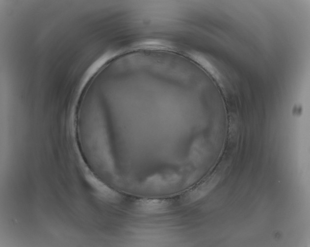 X0000094791474200711161422