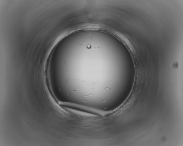 X0000094791475200711161422
