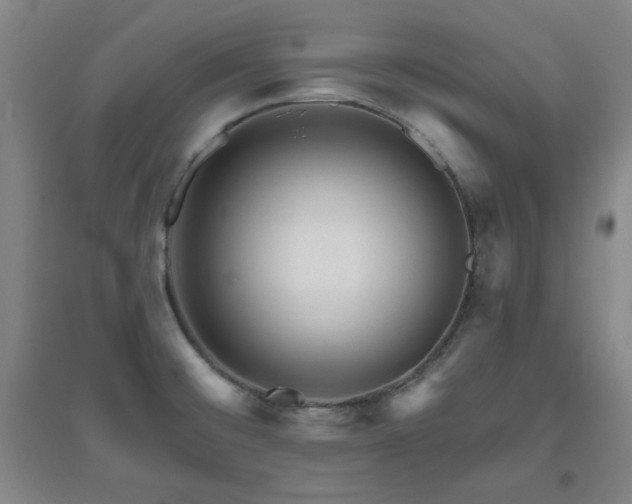 X0000094791476200711161422