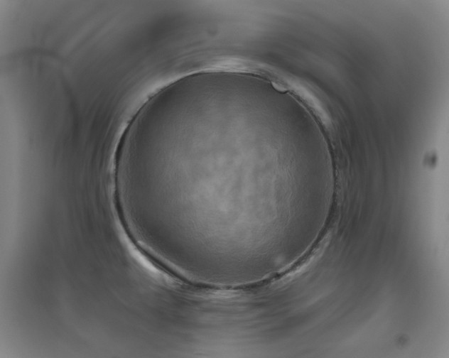 X0000094791479200711161422