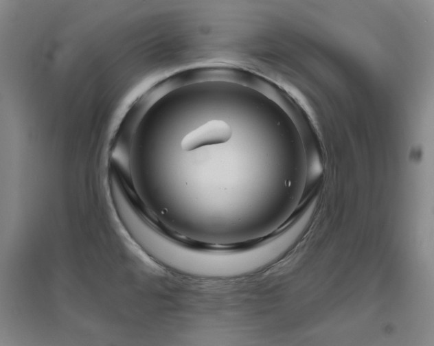 X0000094791480200711161422