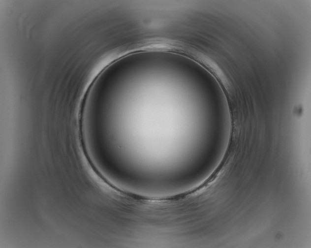X0000094791483200711161422