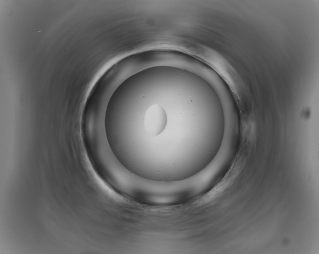 X0000094791484200711161422