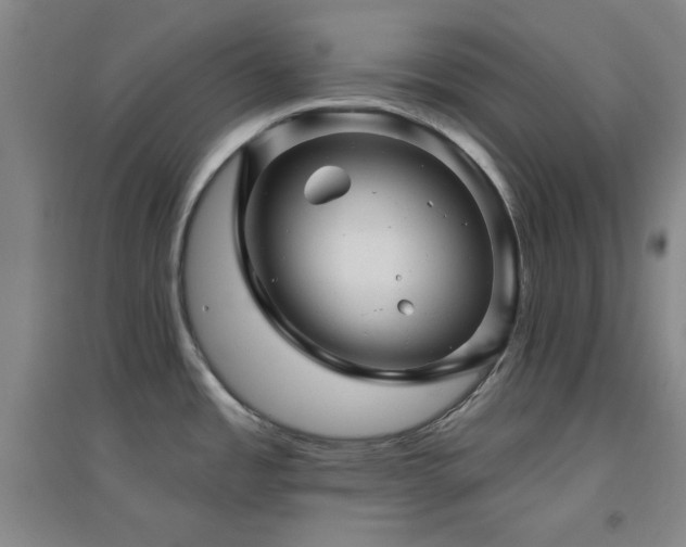 X0000094791485200711161422
