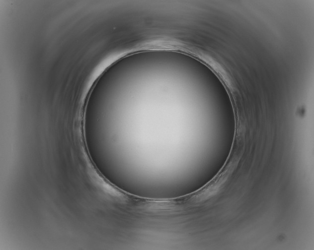 X0000094791486200711161422
