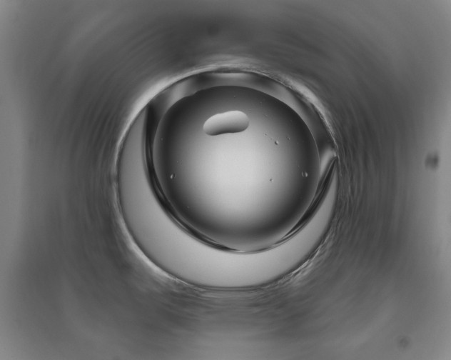 X0000094791487200711161422