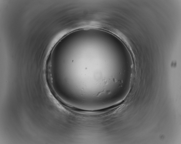 X0000094791488200711161422