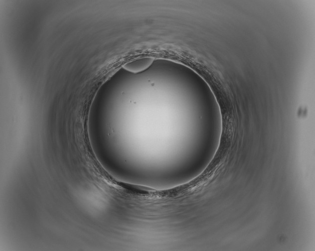 X0000094791489200711161421