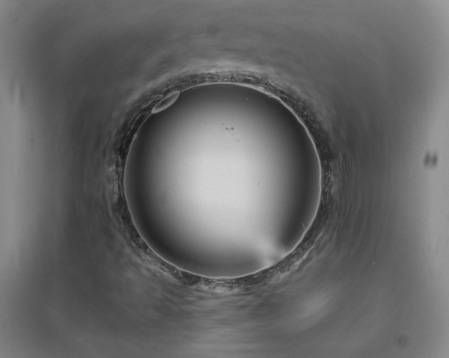 X0000094791493200711161421