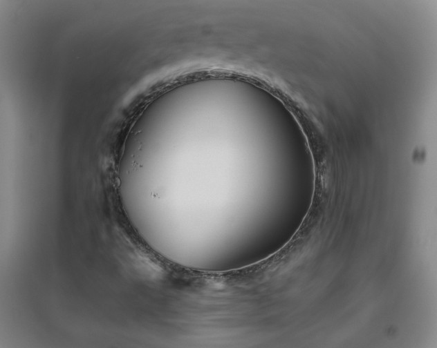 X0000094791495200711161421
