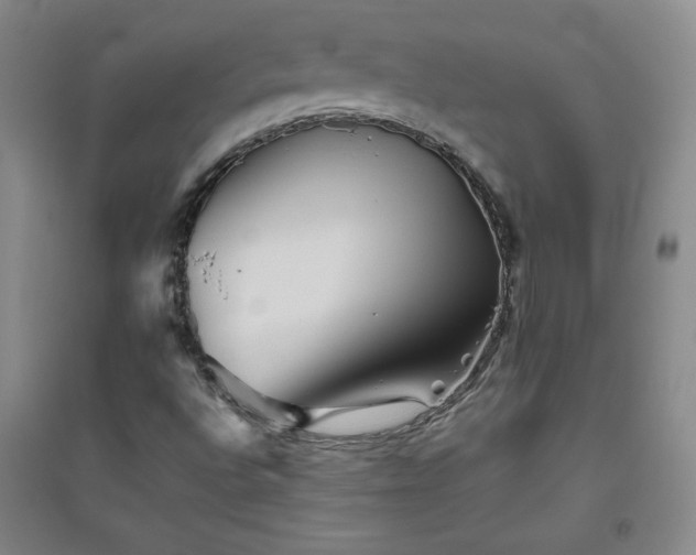 X0000094791496200711161421