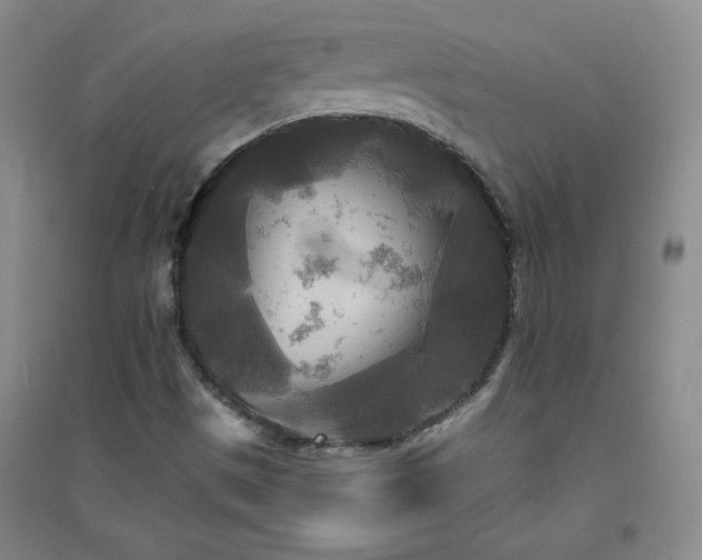 X0000094791497200711161421