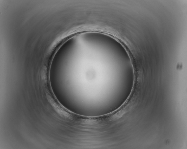 X0000094791499200711161421