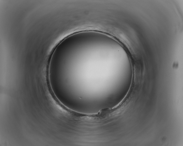 X0000094791500200711161421
