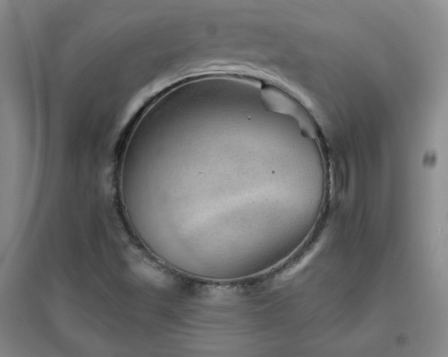 X0000094791501200711161421
