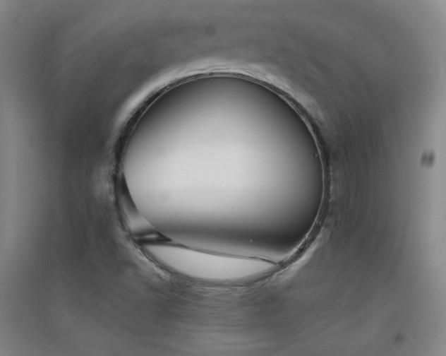 X0000094791502200711161421