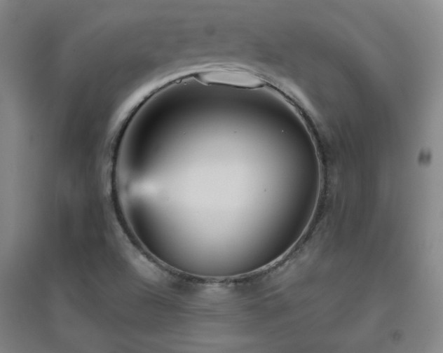 X0000094791504200711161421