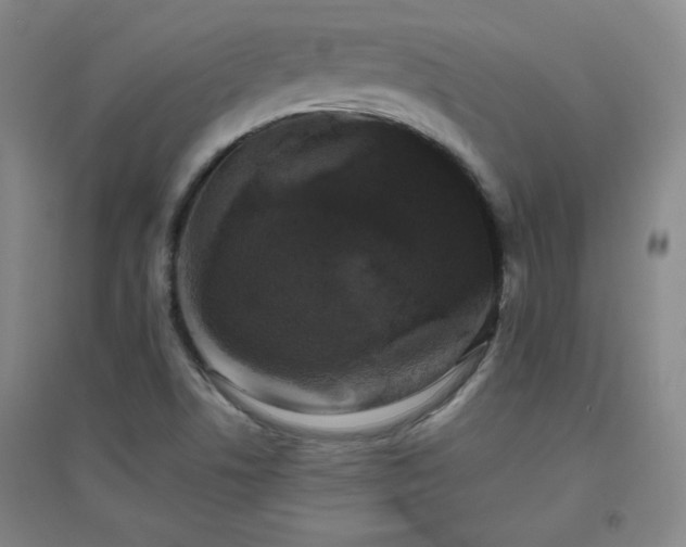 X0000094791506200711161421
