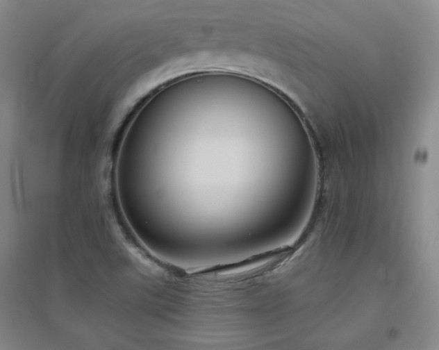 X0000094791507200711161421