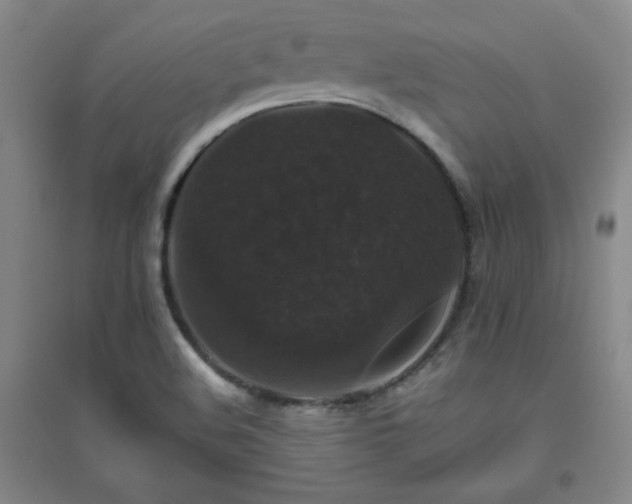 X0000094791508200711161421