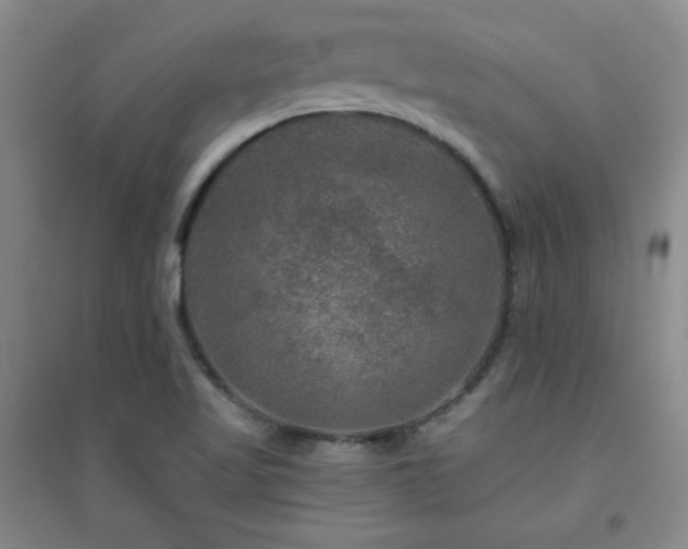 X0000094791509200711161421