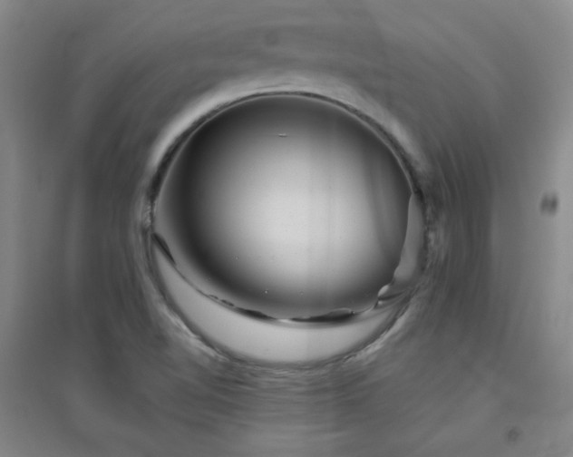 X0000094791510200711161421