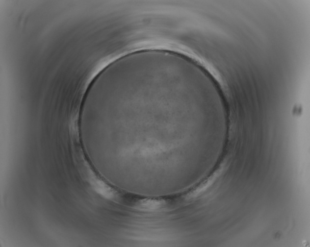 X0000094791513200711161421