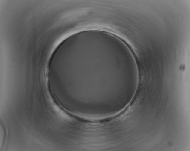X0000094791515200711161421