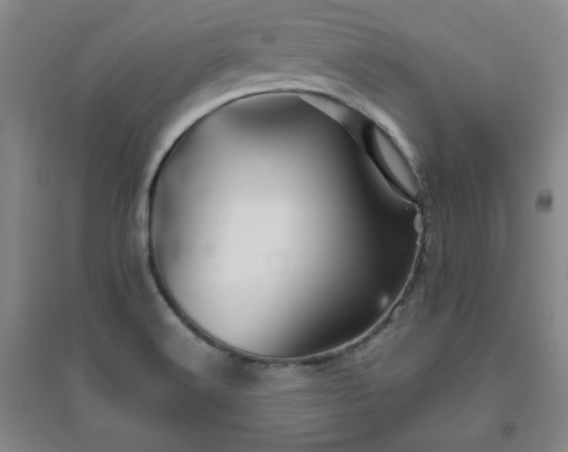 X0000094791516200711161421