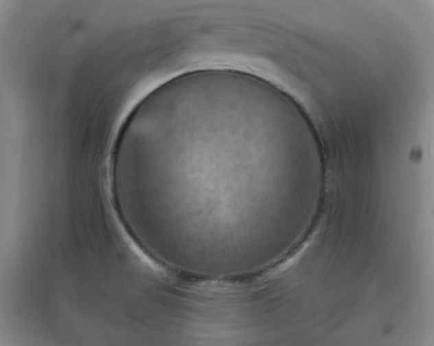 X0000094791517200711161421