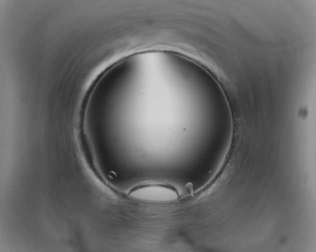 X0000094791518200711161421