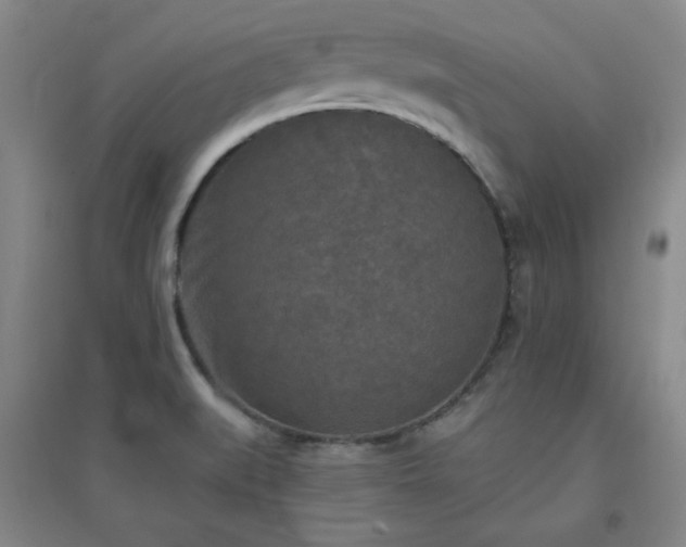 X0000094791519200711161421