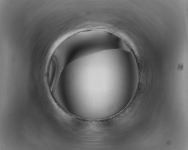 X0000094791520200711161421