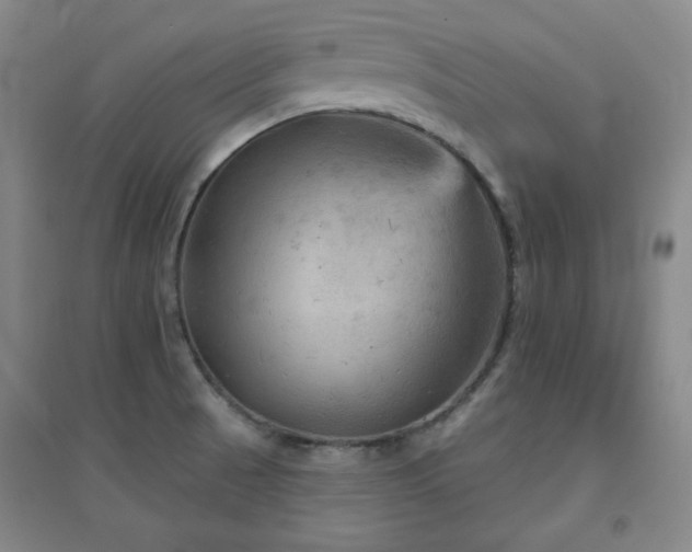 X0000094791521200711161421